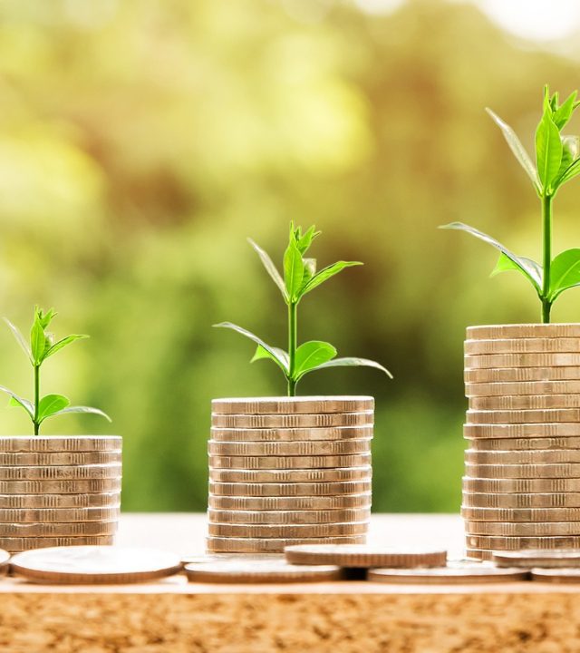 money, profit, finance-2696219.jpg